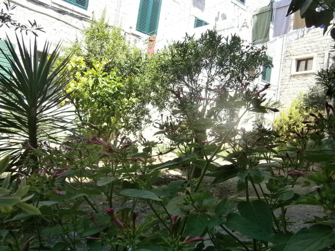 Exterior & Views 2, Apartments and Rooms Djanovic, Split
