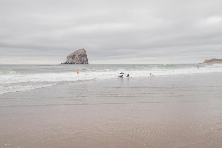 Others 5, Panacea, Tillamook