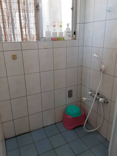 Bathroom 5, Minshuku Tantawan, Motobu