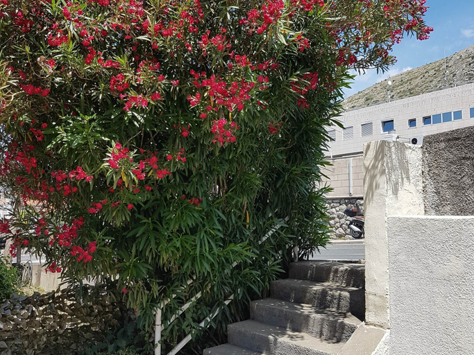 Exterior & Views, Studios IM, Dubrovnik