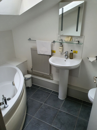 Bathroom 3, Dragon Inn Crickhowell, Powys