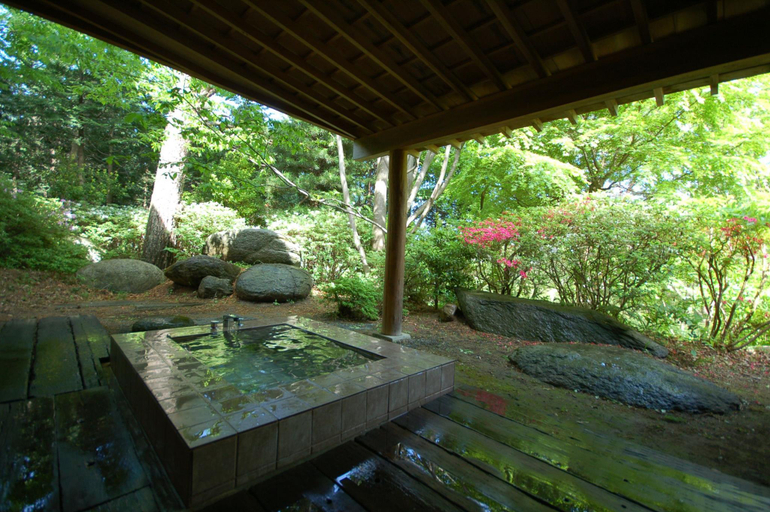 Bathroom 3, Soranoniwa Resort, Nihonmatsu