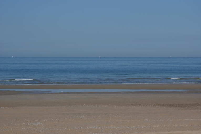 Others 4, App De Panne, West-Vlaanderen