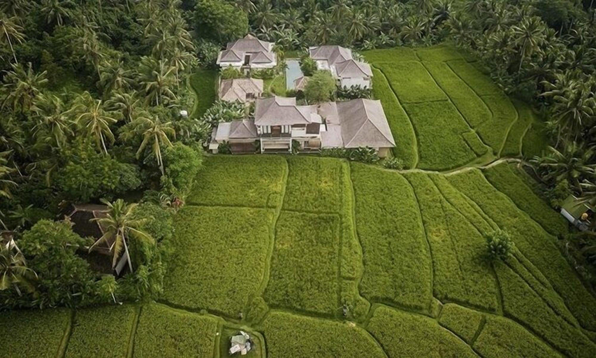 Exterior & Views 2, The Shala Bali, Gianyar