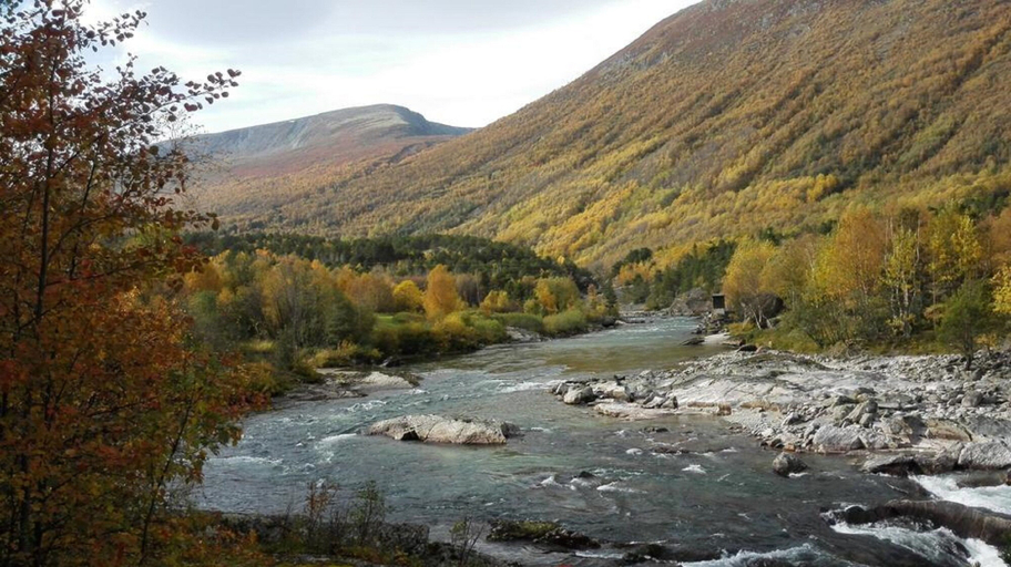 Others 5, Driva Hytter, Oppdal