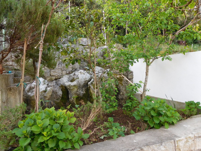 Others 4, Apartments Ivancevic, Korčula