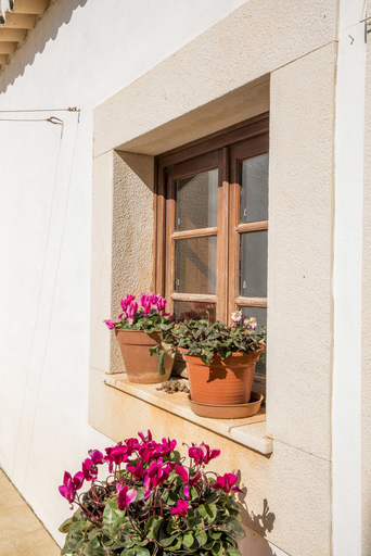 Exterior & Views 2, F - Casa Palheiro in Quinta das Alagoas by DreamAlgarve, Lagos