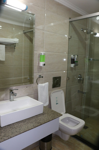 Bathroom, Norbu House, Kangra