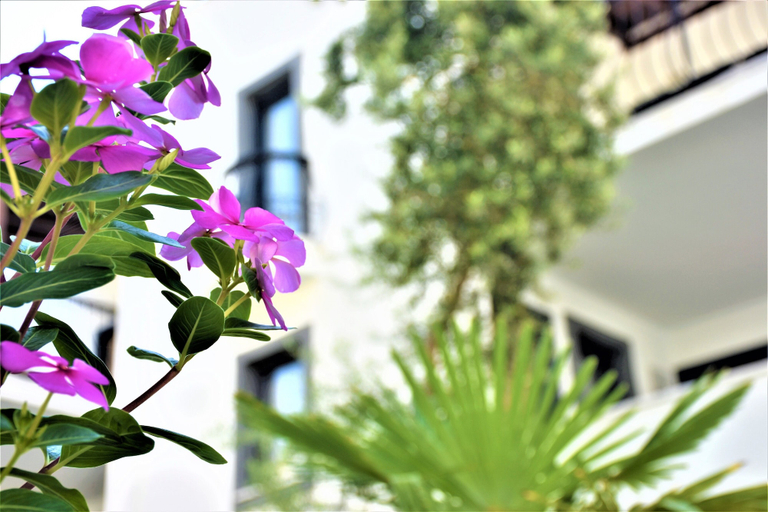 Exterior & Views 2, Modern Life Bodrum Otel, Bodrum