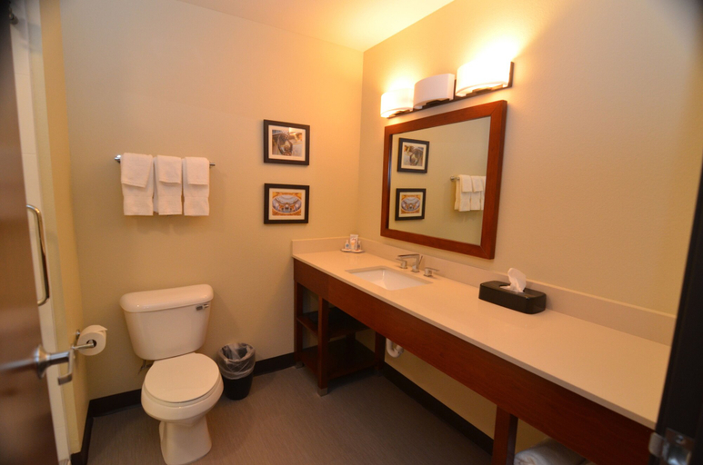 Bathroom 4, Comfort Inn & Suites West Des Moines, Dallas