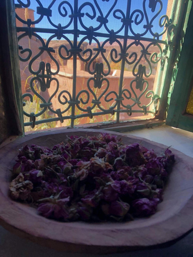Food & Drinks 5, Les jardins de Mgoun, Ouarzazate