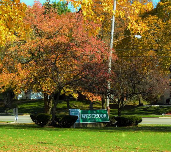 Others 5, The Westmoor, Lucas