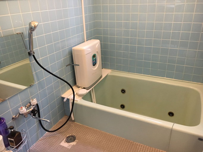 Bathroom 4, Pension Roku, Hakuba