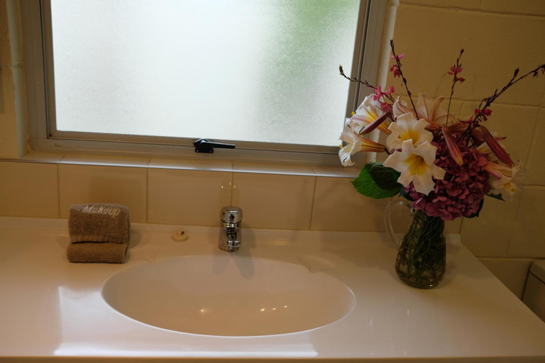 Bathroom 5, Montana Lodge Motel, Marlborough
