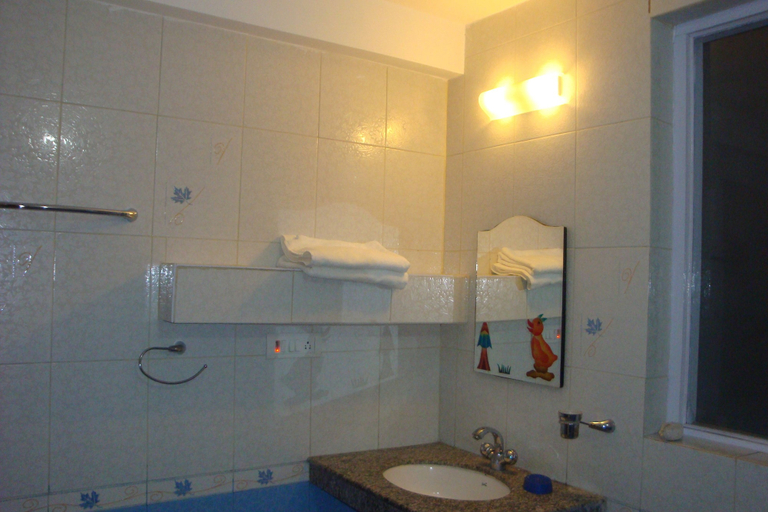 Bathroom 3, Radhu's Boutique Inn, Leh