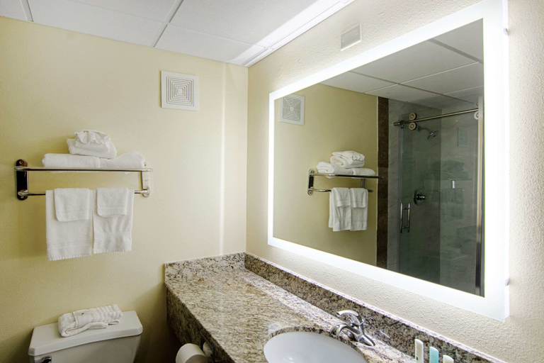 Bathroom 4, Quality Inn & Suites Richburg I-77, Chester