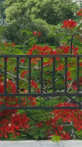 Others 5, Rollanda Hotel, Port-au-Prince