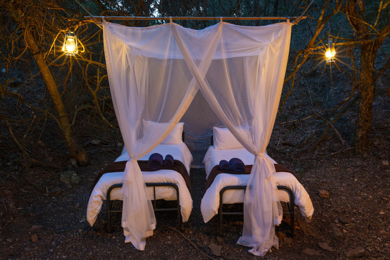 Bedroom, Stargazer Camp - Bellevue Forest Reserve, Cacadu