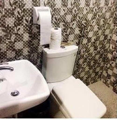 Bathroom, Majestic MT Pinatubo Tour and Homestay, Capas
