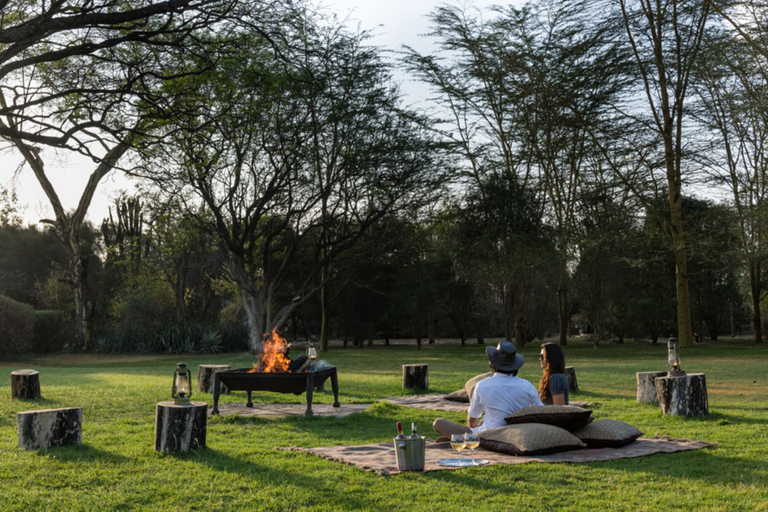 Others 1, Flamingo Hill Tented Camp, Nakuru Town West