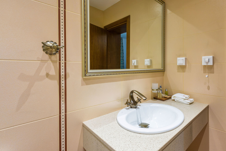 Bathroom 5, Villa Sintica, Sandanski