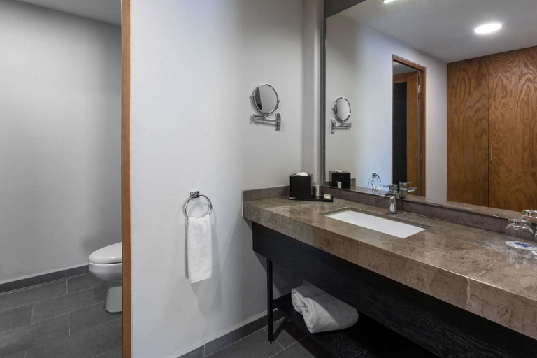 Bathroom 4, TRYP by Wyndham San Luis Potosi Hotel & Suites, San Luis Potosí