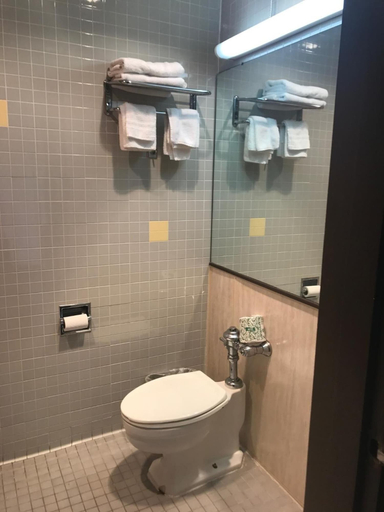 Bathroom 3, Red Carpet Inn, Garland