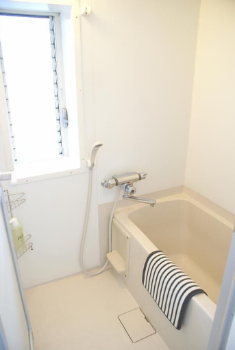 Bathroom 2, Legal Big House (166-1), Osaka
