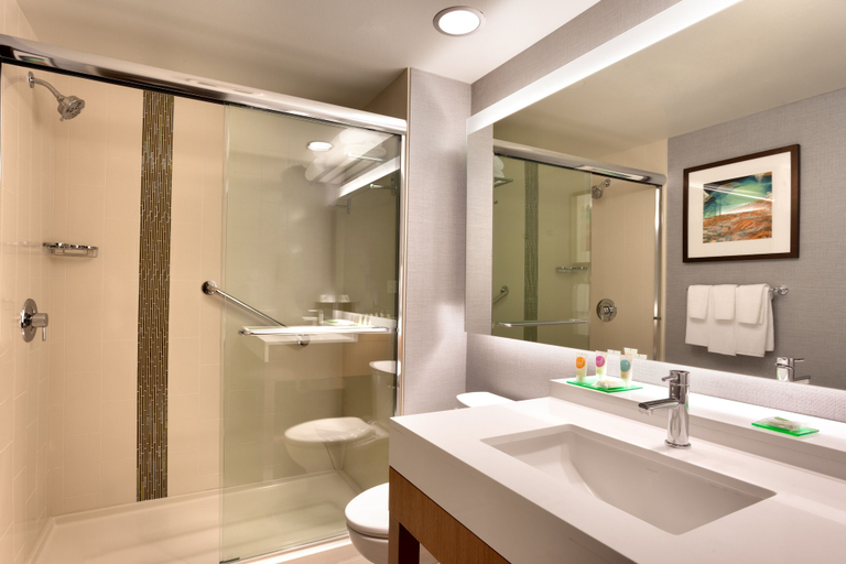 Bathroom 3, Hyatt Place St George/Convention Center, Washington