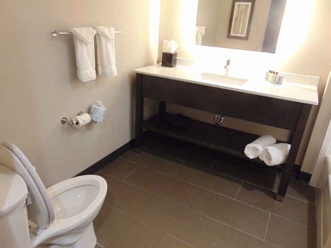 Bathroom 4, Wingate by Wyndham Lubbock near Texas Tech Univ. Medical Ctr, Lubbock