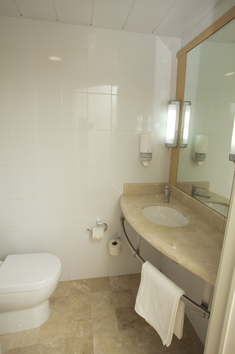 Bathroom 4, ibis San Luis Potosi, San Luis Potosí