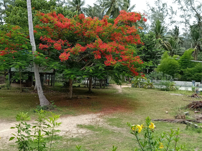 Others 5, Baan Moonchan, Ko Phangan