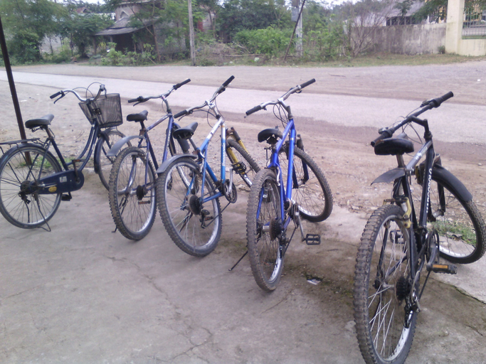 Others 5, Cuc Phuong Bungalow, Nho Quan