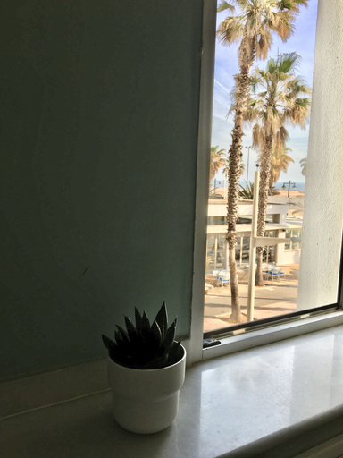 Others 5, Hotel Miramar Valencia, Valencia