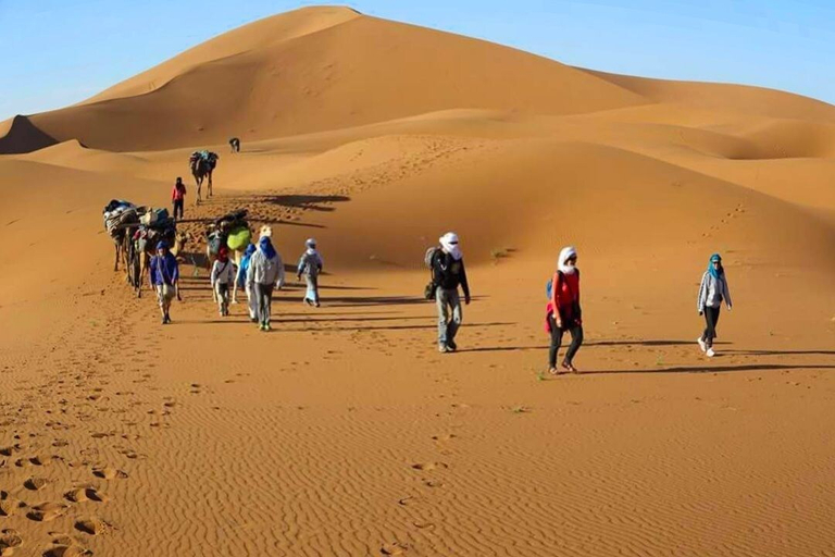 Others 4, Locals Under Stars Trips, Ouarzazate