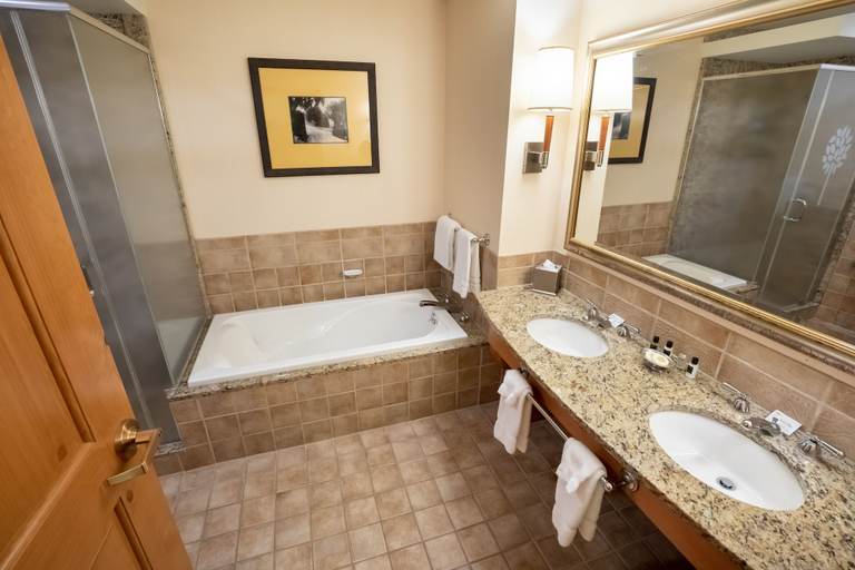 Bathroom 4, Oglebay Resort, Ohio