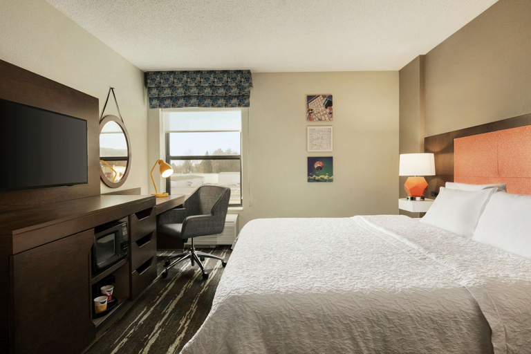 Bedroom 3, Hampton Inn Binghamton/Johnson City, Broome