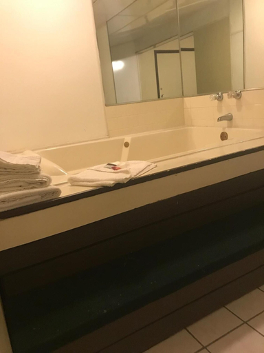 Bathroom 3, Red Carpet Inn, Garland