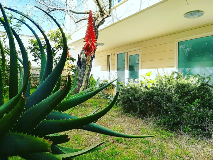 Exterior & Views 2, B&B Camere Borgo, Lecce