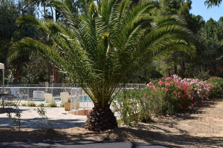 Others 5, Camping Paradella, Haute-Corse