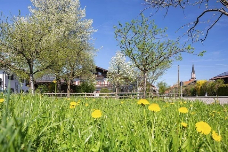 Others 5, Donebauer, Traunstein