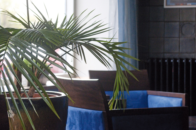 Others 5, City Partner Hotel Ter Streep, West-Vlaanderen
