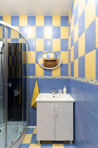 Bathroom 4, Four-room apartment on Nevsky 106, Sankt-Peterburg gorsovet
