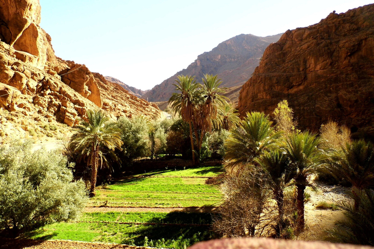 Others 5, Auberge La Vallée, Ouarzazate