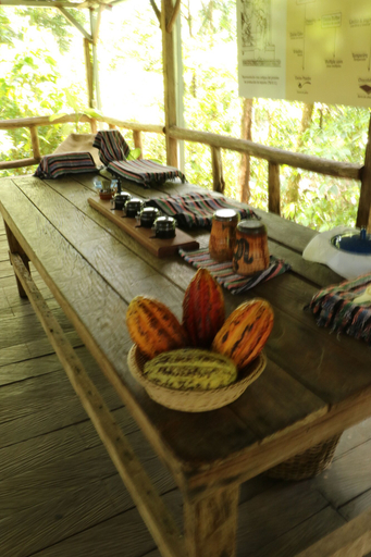 Food & Drinks 5, Tirimbina Rainforest Lodge, Sarapiquí