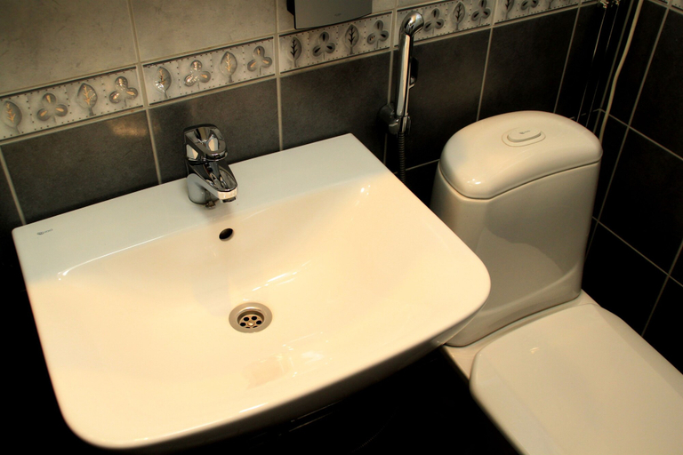 Bathroom 5, Hotelli Salpa, South Karelia
