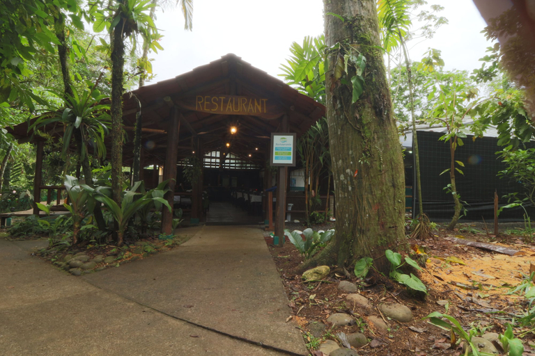 Exterior & Views 2, Tirimbina Rainforest Lodge, Sarapiquí