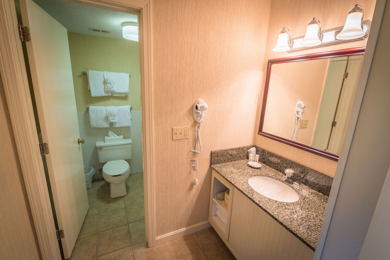 Bathroom 4, Fox Ridge Resort, Carroll