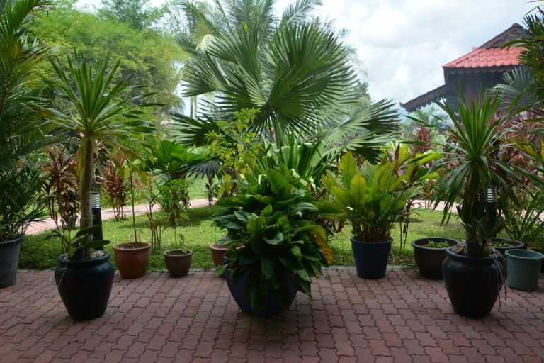 Public Area 3, Sunset Valley, Langkawi