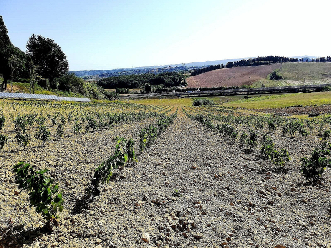 Others 5, Agriturismo Campo al Sole, Livorno